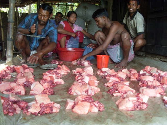 The Kawra Pig-rearing Women’s Livelihood Development Project