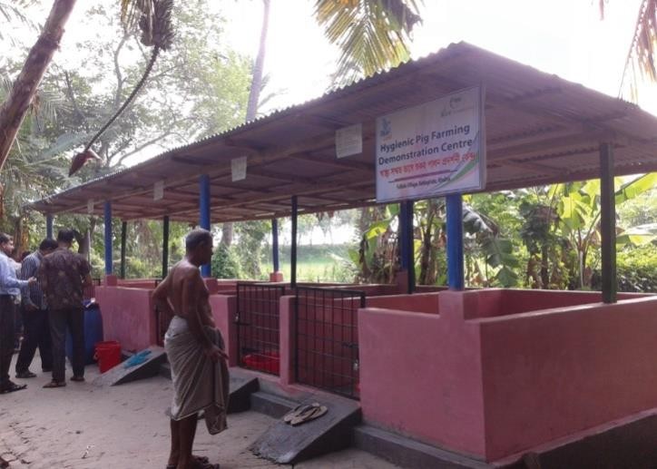 Livelihood Development and Professional Rights for the KawraPig-rearing Community